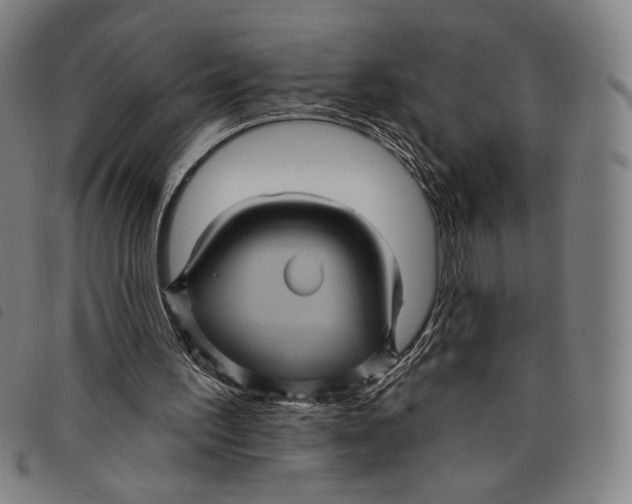 X0000097830195200804041428