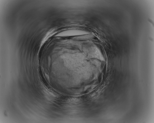 X0000097830198200804041428