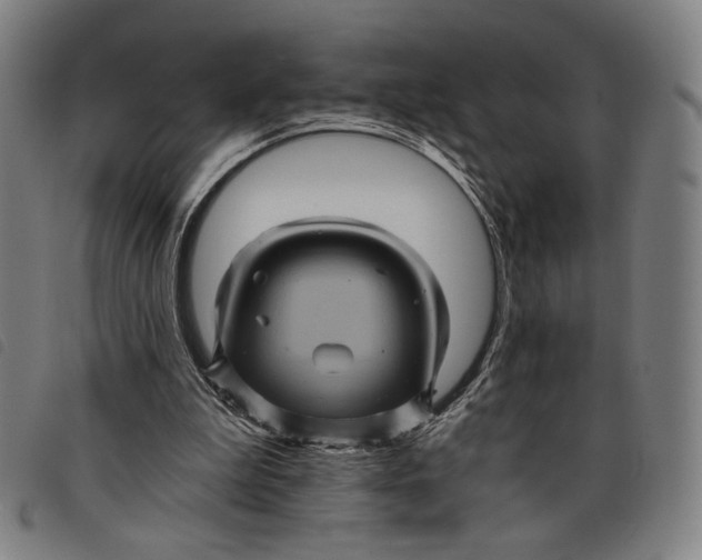 X0000097830199200804041428