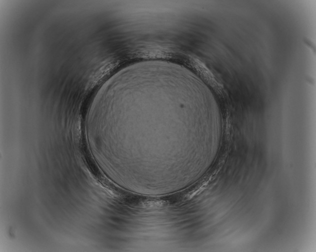 X0000097830202200804041428