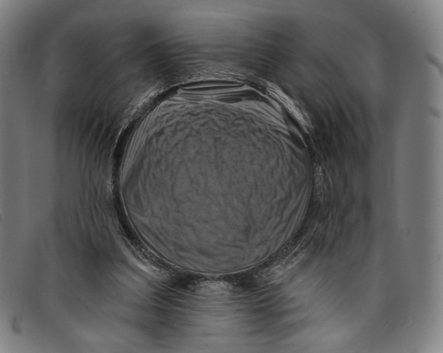 X0000097830203200804041428