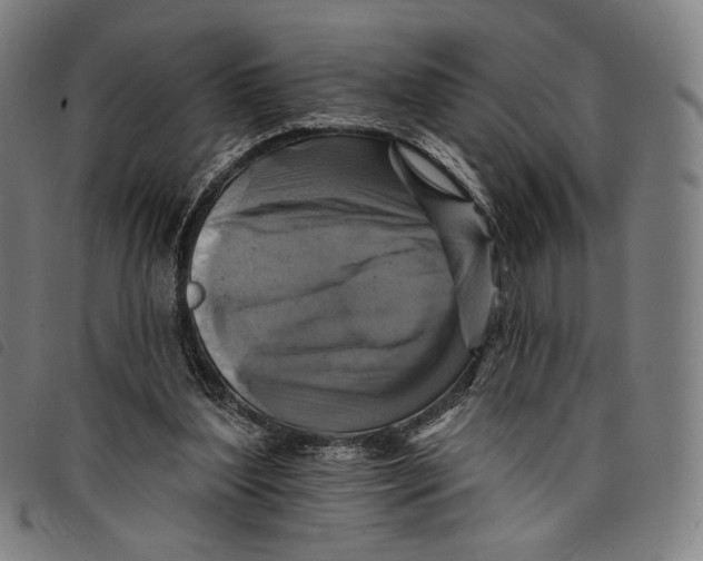 X0000097830204200804041428