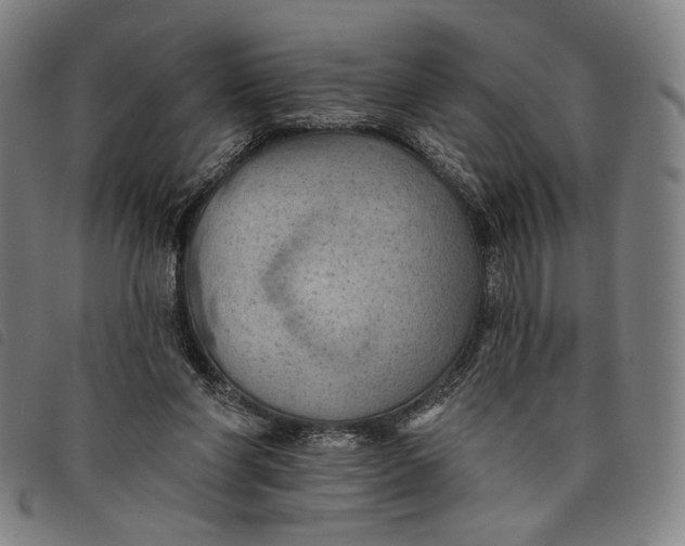 X0000097830206200804041428