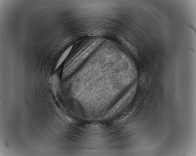 X0000097830209200804041428