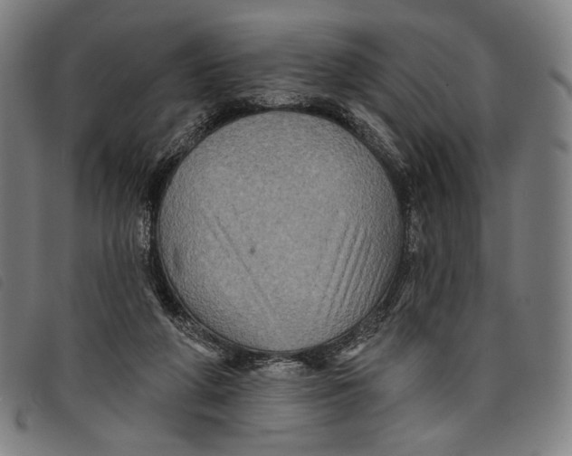 X0000097830210200804041428