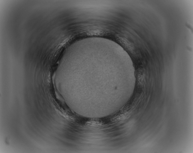 X0000097830211200804041428