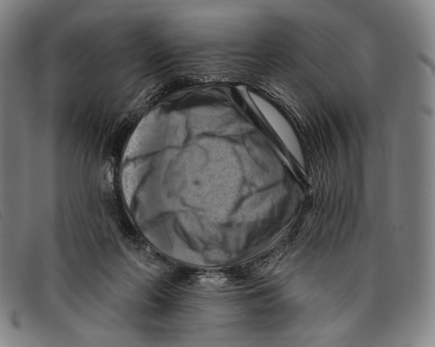 X0000097830214200804041428