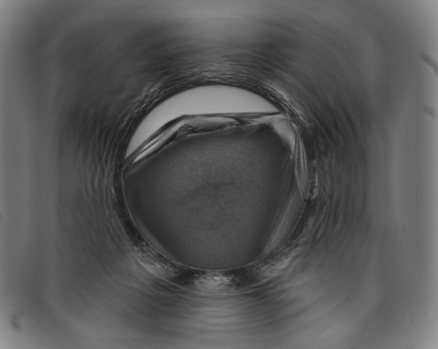 X0000097830217200804041428