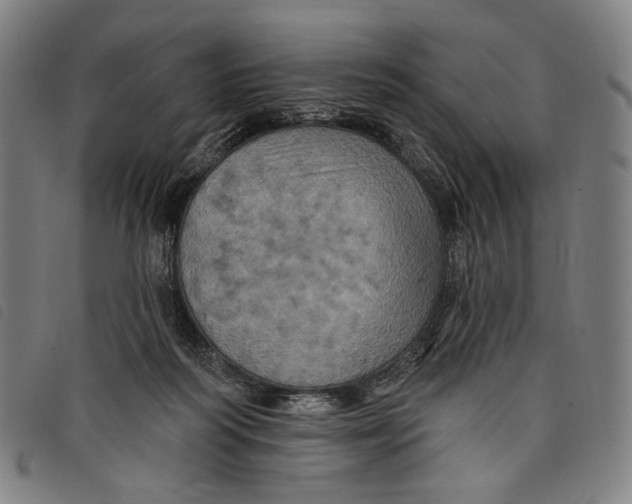 X0000097830218200804041428