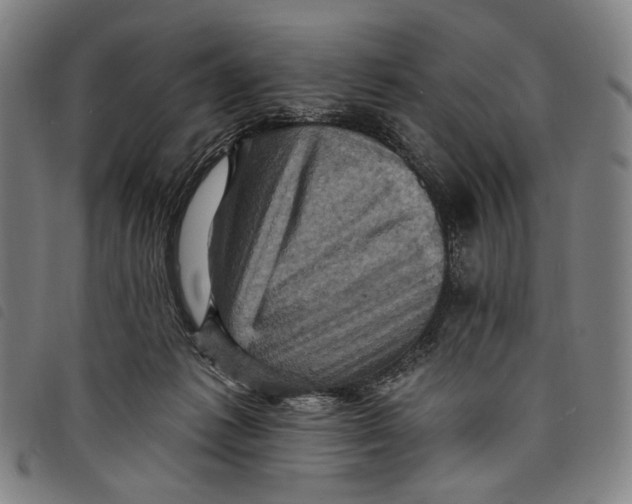 X0000097830221200804041428