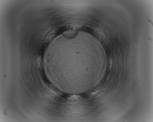 X0000097830222200804041428