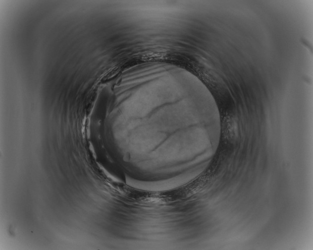 X0000097830224200804041428