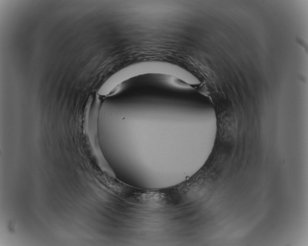 X0000097830225200804041428