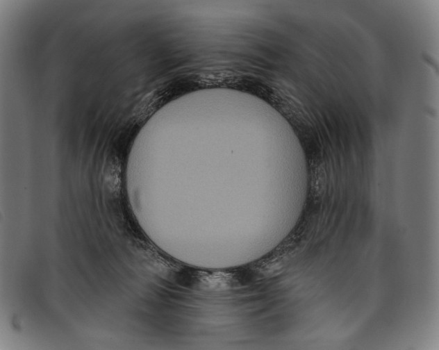 X0000097830226200804041428