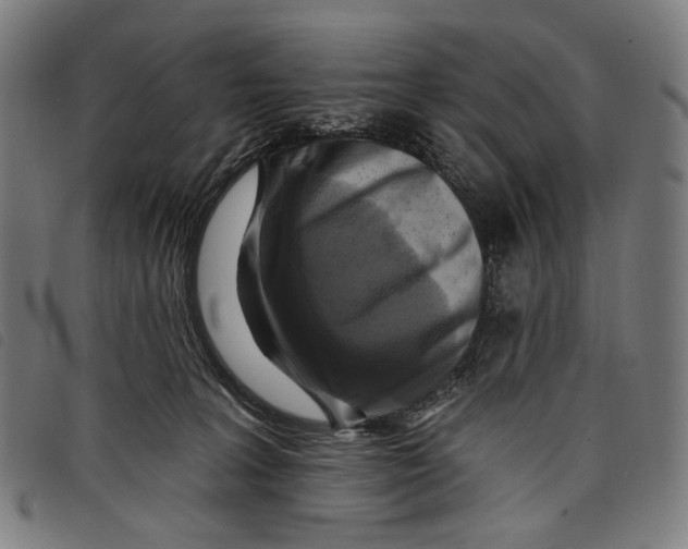 X0000097830227200804041428