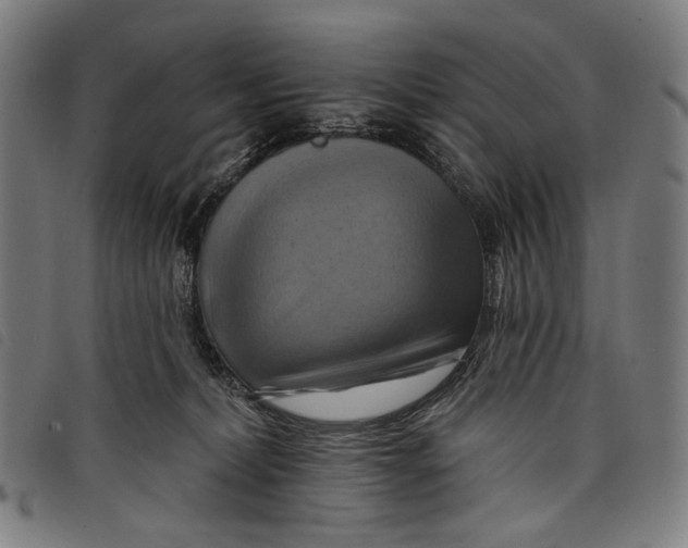 X0000097830228200804041428