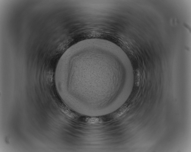 X0000097830230200804041428