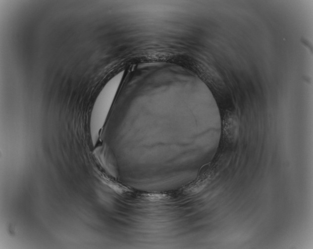 X0000097830233200804041428