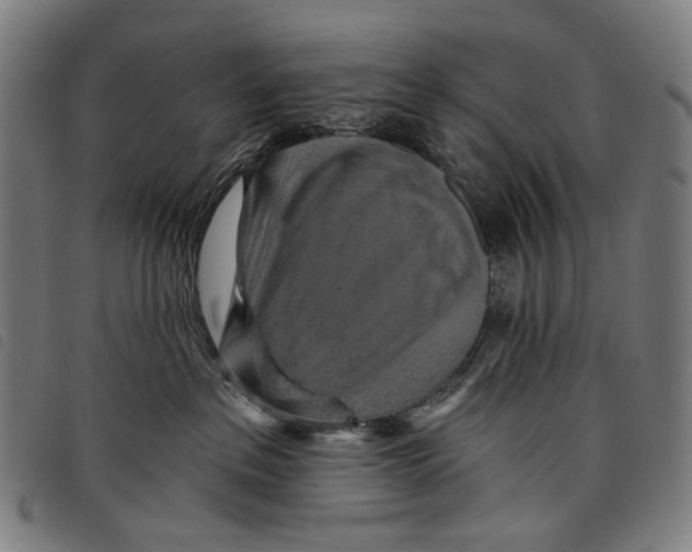 X0000097830237200804041428