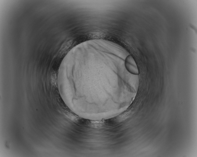 X0000097830240200804041428