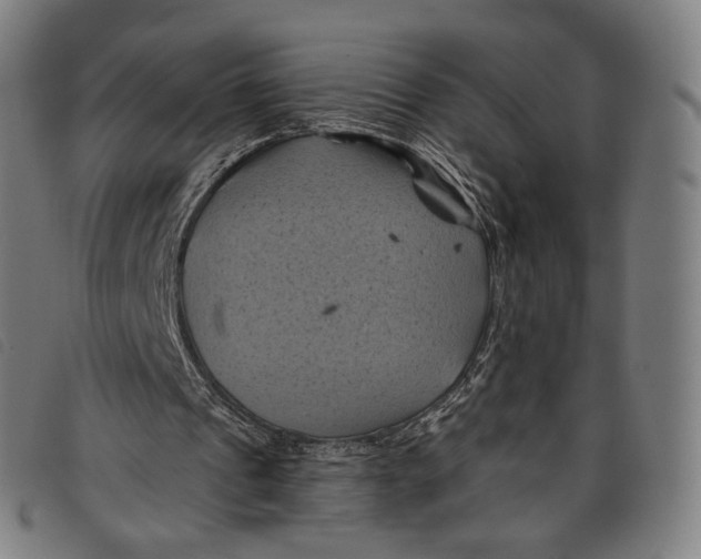 X0000097830241200804041427