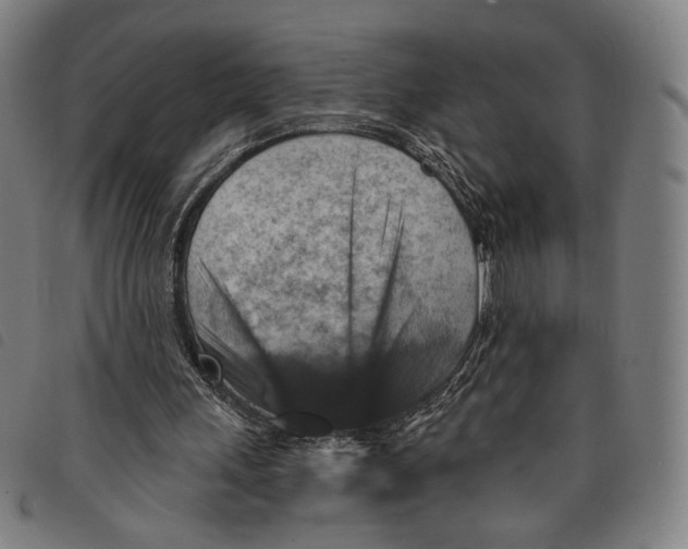 X0000097830243200804041427