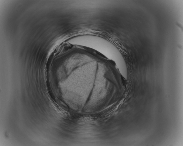 X0000097830244200804041427