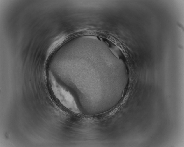 X0000097830245200804041427