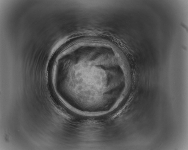 X0000097830246200804041427