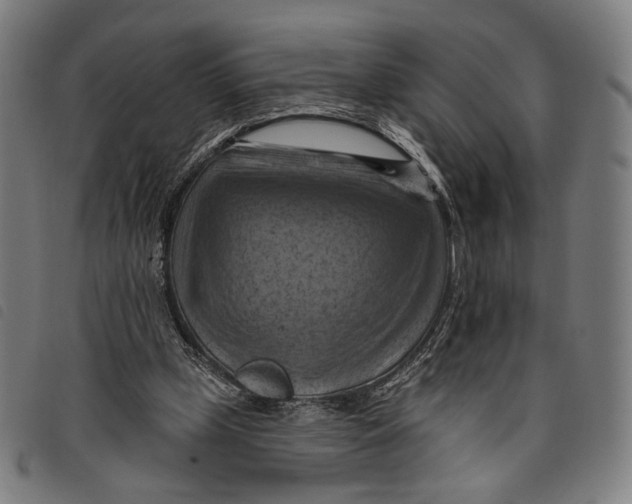 X0000097830249200804041427