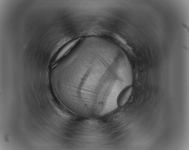 X0000097830250200804041427