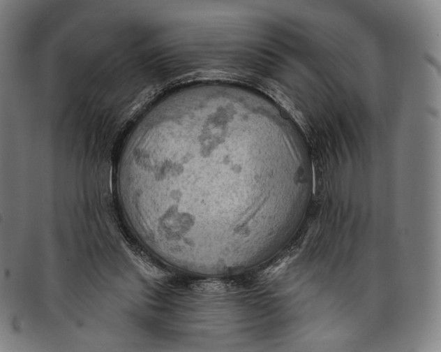 X0000097830253200804041427