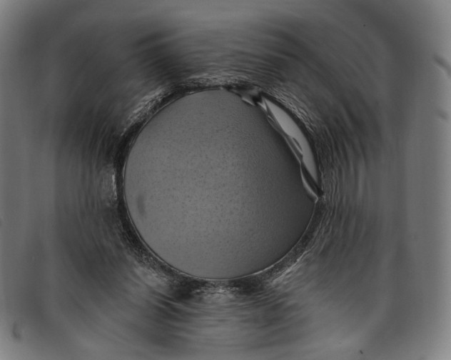 X0000097830254200804041427