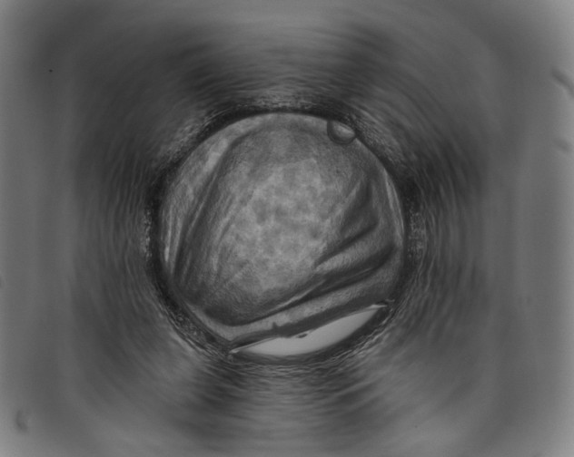 X0000097830255200804041427