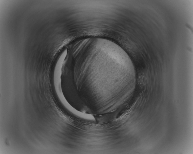 X0000097830256200804041427