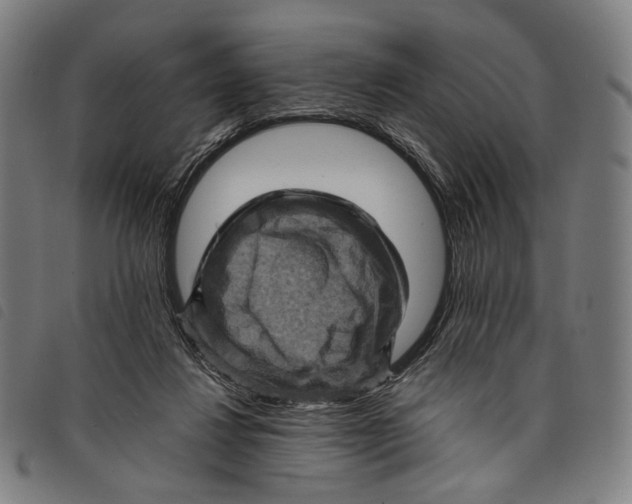 X0000097830260200804041427