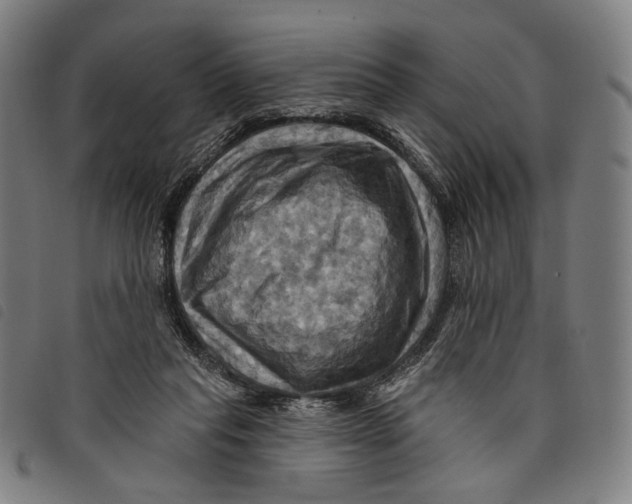 X0000097830261200804041427