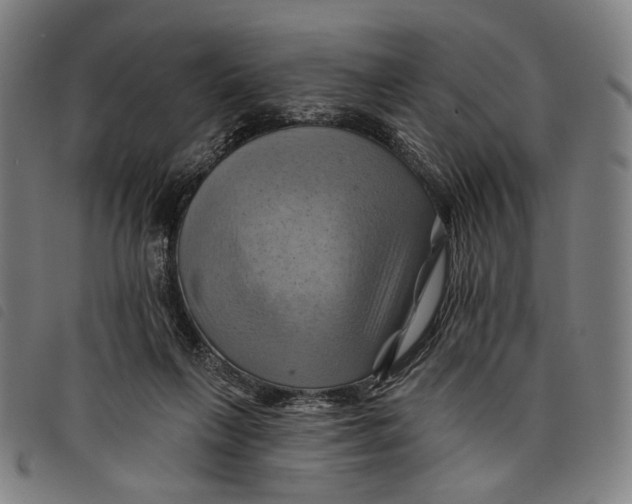 X0000097830263200804041427