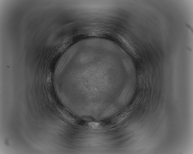 X0000097830265200804041427