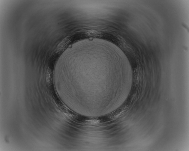 X0000097830266200804041427