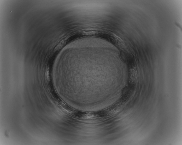 X0000097830267200804041427