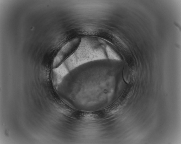 X0000097830268200804041427