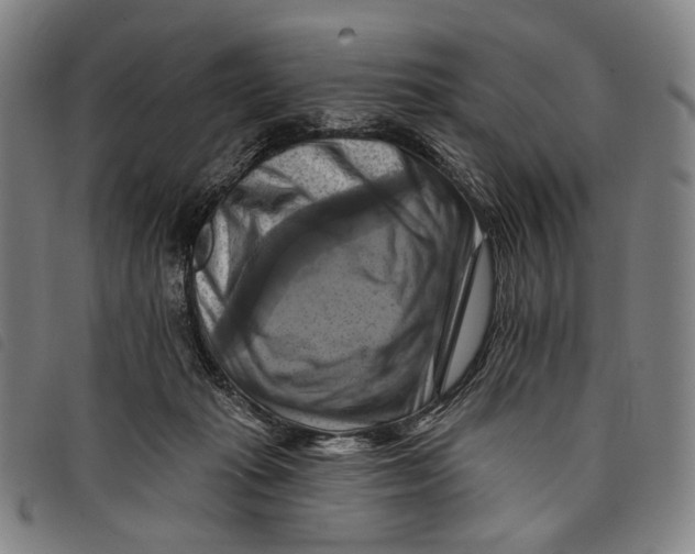 X0000097830269200804041427