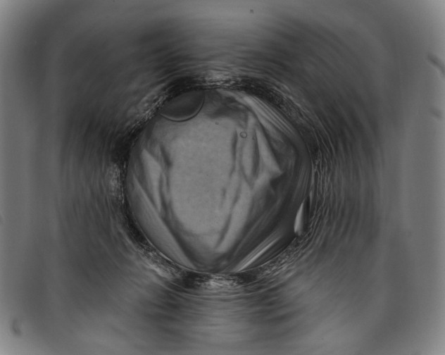 X0000097830270200804041428