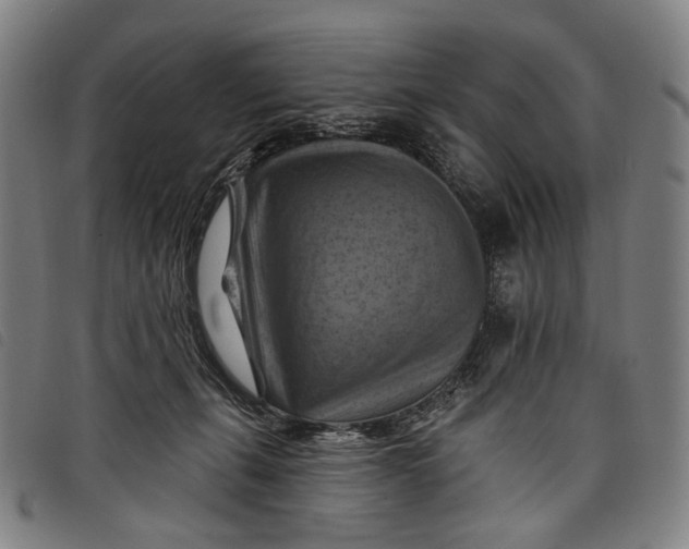 X0000097830271200804041428