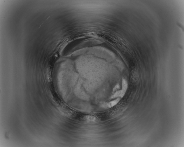 X0000097830272200804041428