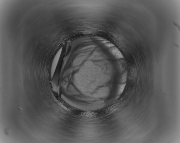 X0000097830273200804041428