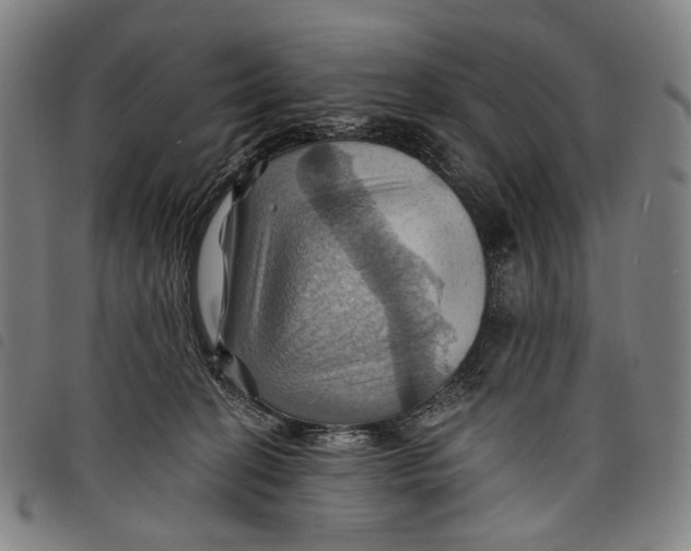 X0000097830274200804041428