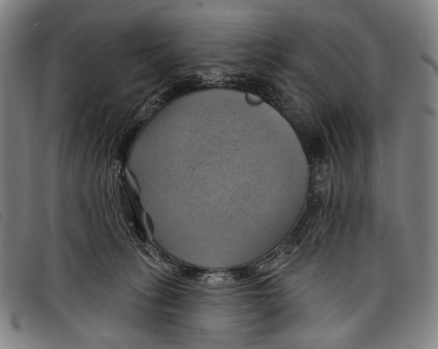 X0000097830275200804041428