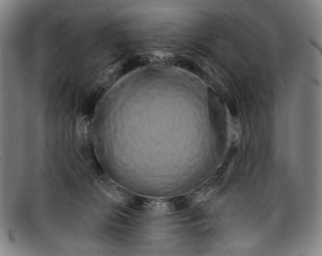 X0000097830276200804041428